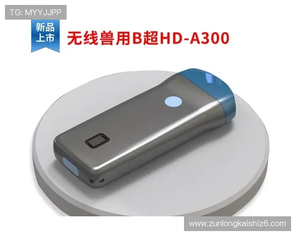 用户优先：尊龙凯时旗舰厅注册平台的客户服务及支持系统全面介绍